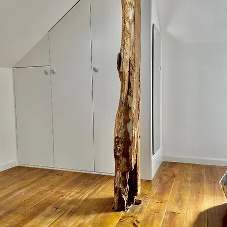 Casa de hóspedes Santa Catarina