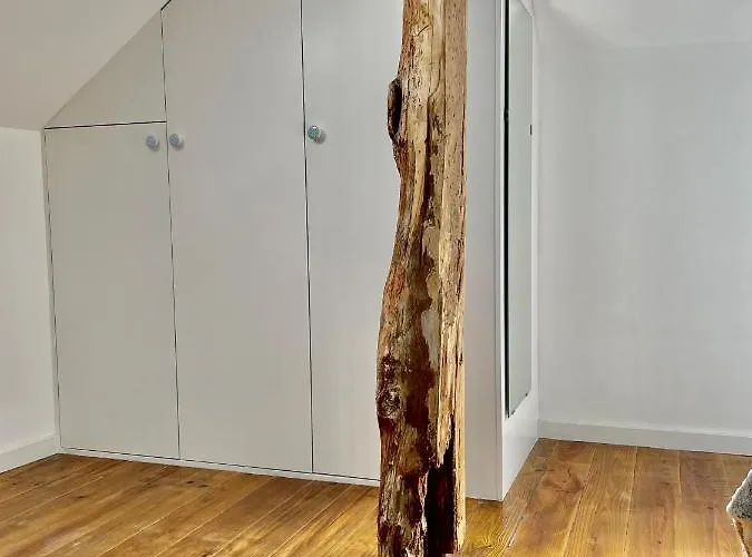 招待所 Santa Catarina